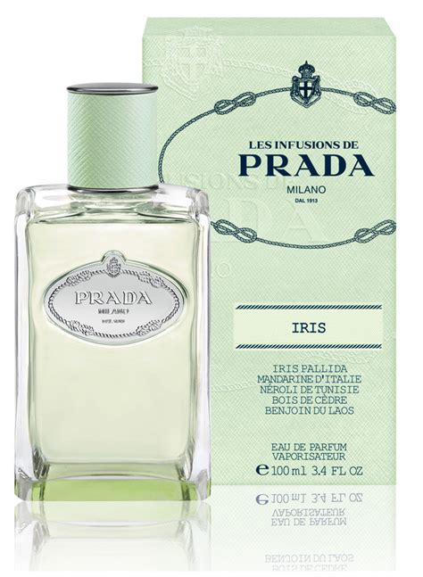 prada iris fragrantica